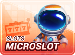 Micro Slot